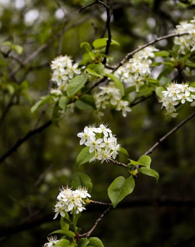 ТАГАНСКИЙ ПАРК